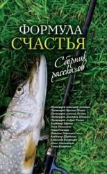 читать Формула счастья. Сборник рассказов