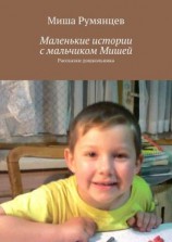 читать Маленькие истории с мальчиком Мишей. Рассказки дошкольника