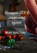 читать Большой секс в маленькой кухне