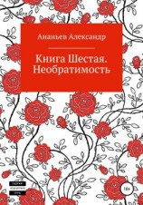 читать Книга шестая. Необратимость