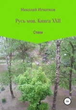 читать Русь моя. Книга XXII