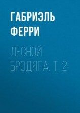 читать Лесной бродяга. Том 2