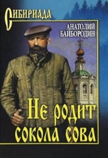 читать Не родит сокола сова