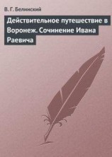 читать Действительное путешествие в Воронеж. Сочинение Ивана Раевича