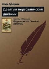 читать Девятый иерусалимский дневник