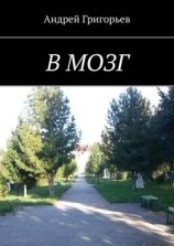 читать В мозг