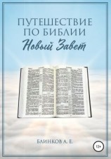 читать Путешествие по Библии. Новый Завет