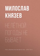 читать Нелётной погоды не бывает