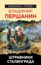 читать Штрафники Сталинграда