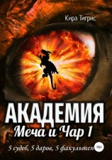 читать Академия Меча и Чар 1