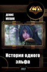 читать История одного эльфа