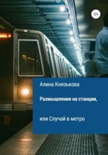 читать Размышления на станции, или Случай в метро