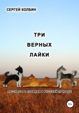 читать Три верных лайки. Рассказы о собаках и русской природе