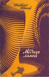 читать Сокол