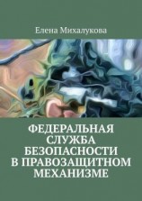 читать Федеральная служба безопасности в правозащитном механизме
