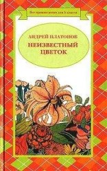читать Волшебное кольцо