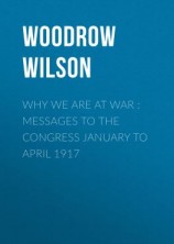 читать Why We Are at War : Messages to the Congress January to April 1917