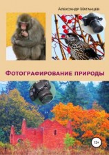читать Фотографирование природы