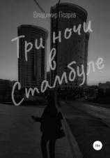 читать Три ночи в Стамбуле