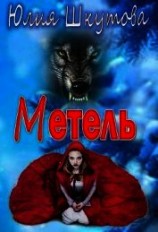 читать Метель