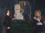 читать Chemical Wedding