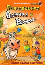 читать Приключения Олжика и Вовки. Как мы ездили в деревню