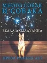 читать Много собак и собака