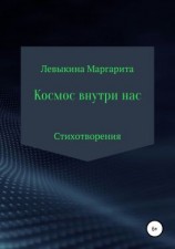 читать Космос внутри нас