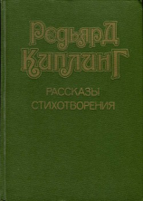 читать Рассказы. Стихотворения
