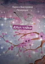 читать Душа чайки. Поэзия