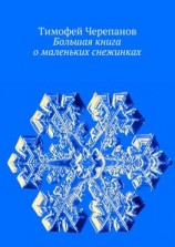 читать Большая книга о маленьких снежинках
