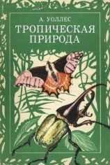 читать Тропическая природа