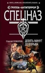 читать Девять минут до взрыва