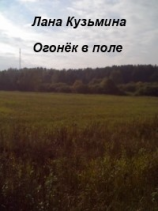 читать Огонёк в поле