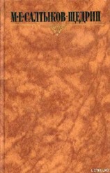 читать Современная идиллия. Книга 1.