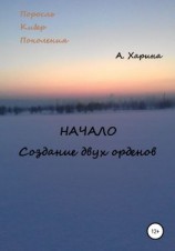 читать ПКП. Начало. Создание двух орденов
