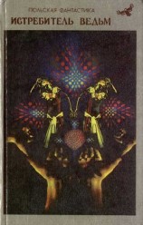 читать Истребитель ведьм (сборник)