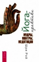 читать Йога-практики. Мудры, мантры, медитации
