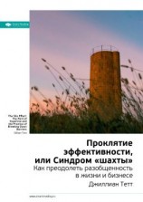 читать Ключевые идеи книги: Проклятие эффективности, или Синдром «шахты». Джиллиан Тетт