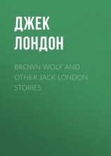 читать Brown Wolf and Other Jack London Stories