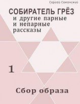 читать Сбор образа (сборник)