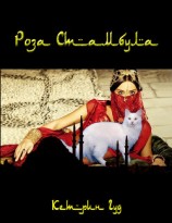 читать Роза Стамбула