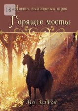 читать Горящие мосты