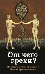 читать От чего грехи? По трудам святого праведного Иоанна Кронштадтского