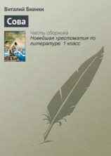 читать Сова