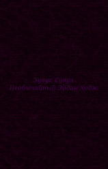 читать Необычайный Эйдан Ходж. Предыстория