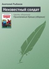 читать Неизвестный солдат