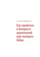 читать Как заработать в Интернете: практический курс молодого бойца