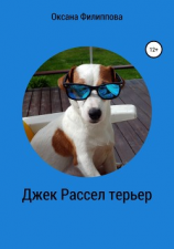 читать Джек Рассел терьер