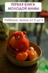 читать Ребёнок: жизнь от двух до 6